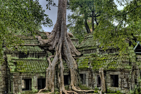 Tours & Excursions - Ta Prohm